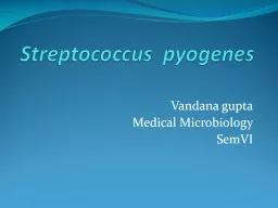 Streptococcus   pyogenes
