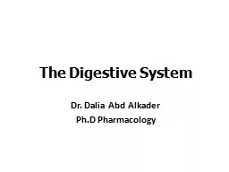 The Digestive System Dr. Dalia