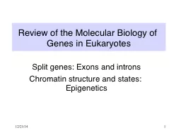 Review of the Molecular Biology of Genes in Eukaryotes