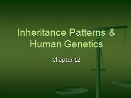 Inheritance Patterns & Human Genetics