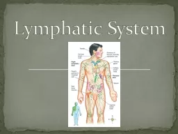 Lymphatic System  1.  Lymphatic system consists of lymph, lymph