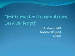 First trimester Uterine Artery