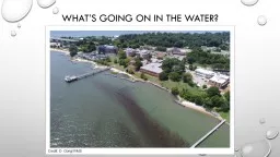 What’s going on in the water?