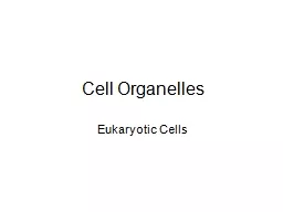 Cell Organelles Eukaryotic Cells