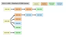 B.B.A. in MIS – Flowchart of CISM Courses