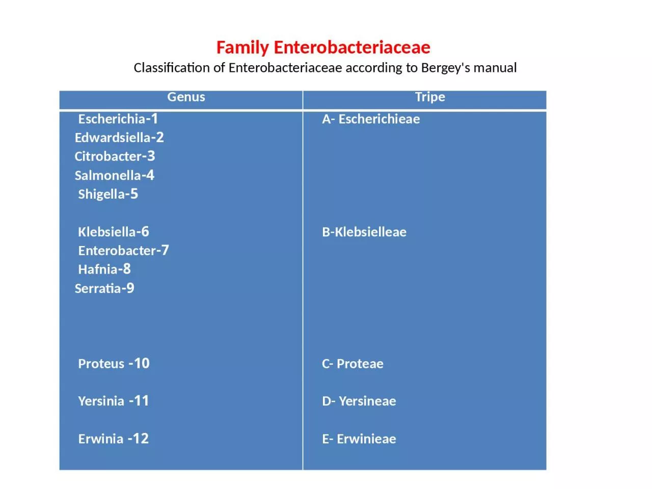 Family  Enterobacteriaceae