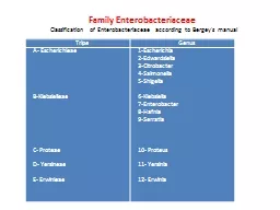Family  Enterobacteriaceae