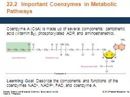 22.2  Important Coenzymes in Metabolic Pathways