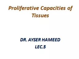 Proliferative Capacities of Tissues