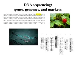 DNA sequencing: g enes, genomes, and markers