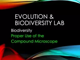 Evolution & Biodiversity Lab