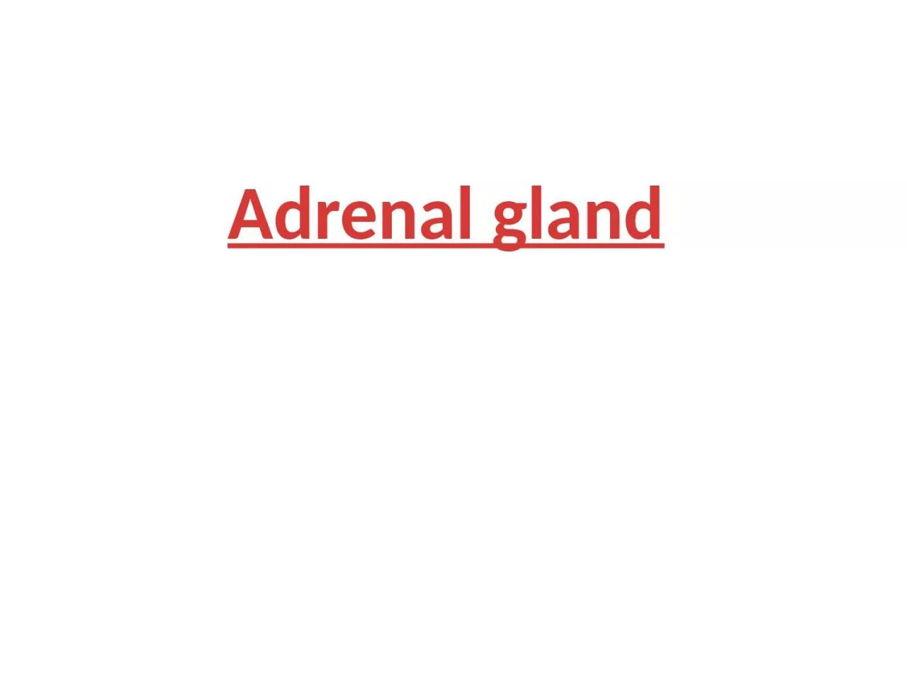 Adrenal  gland Adrenal GLANDs