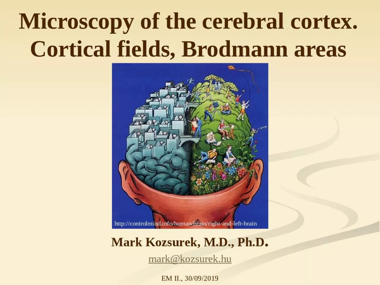 PPT-Microscopy of the cerebral