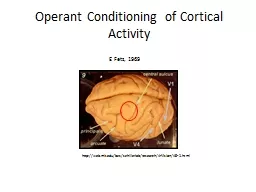 Operant Conditioning of Cortical Activity