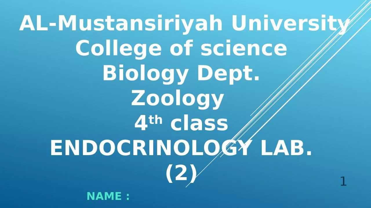 PPT-AL- Mustansiriyah University