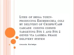Lysis  of  shiga  toxin-producing Escherichia coli by delivery of