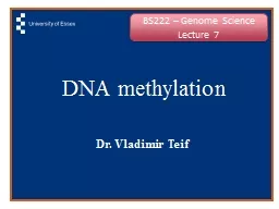 DNA methylation Dr. Vladimir  Teif