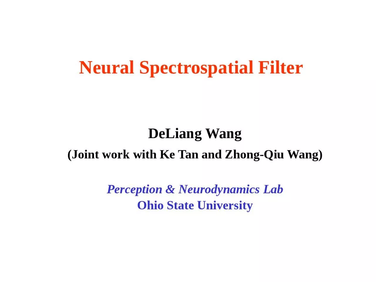 Neural  Spectrospatial  Filter