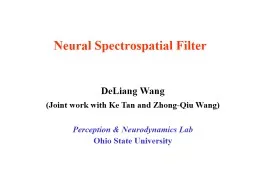Neural  Spectrospatial  Filter
