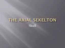 The Axial  Sekelton Skull