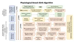Physiological Breech Birth Algorithm