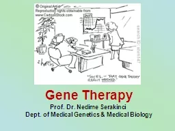 Gene Therapy Prof. Dr.  Nedime Serakinci