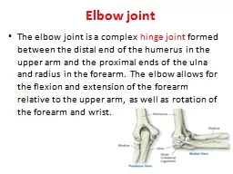 PPT-Elbow joint The elbow joint is a complex