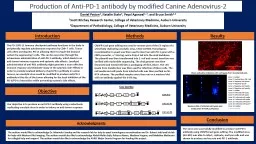 Production of Anti-PD-1 antibody by modified Canine Adenovirus-2