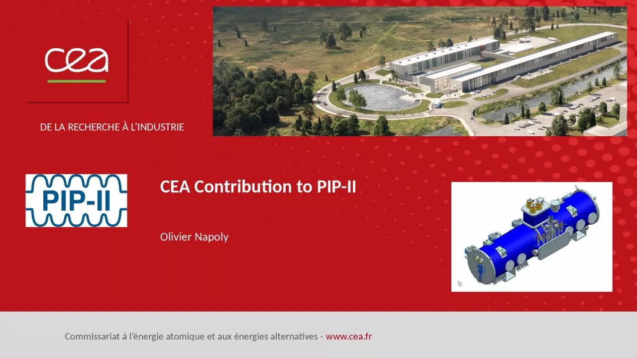 CEA  Contribution  to PIP-II