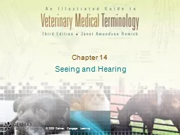 Chapter 14 Seeing and Hearing