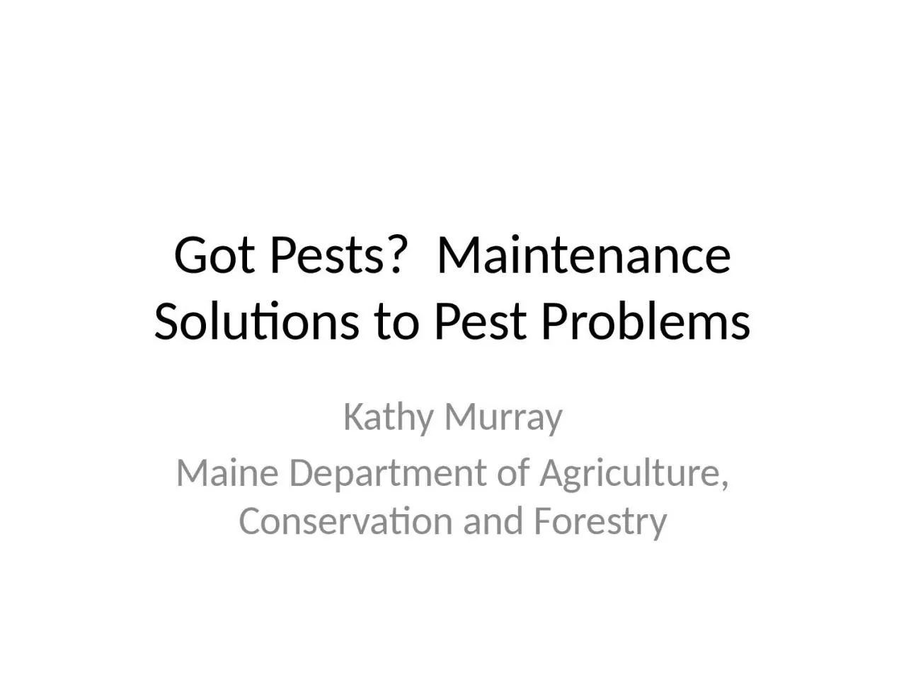 Got Pests?  Maintenance Solutions to Pest Problems