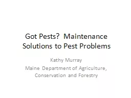 Got Pests?  Maintenance Solutions to Pest Problems