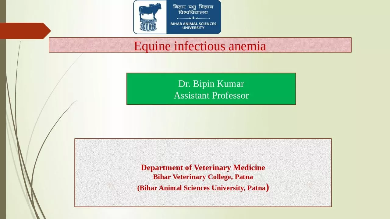 Equine infectious anemia
