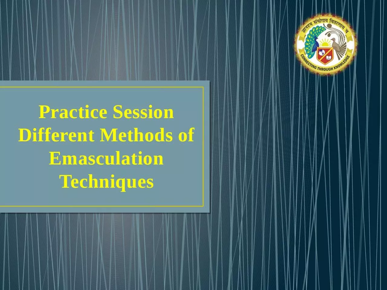 PPT-Practice Session Different