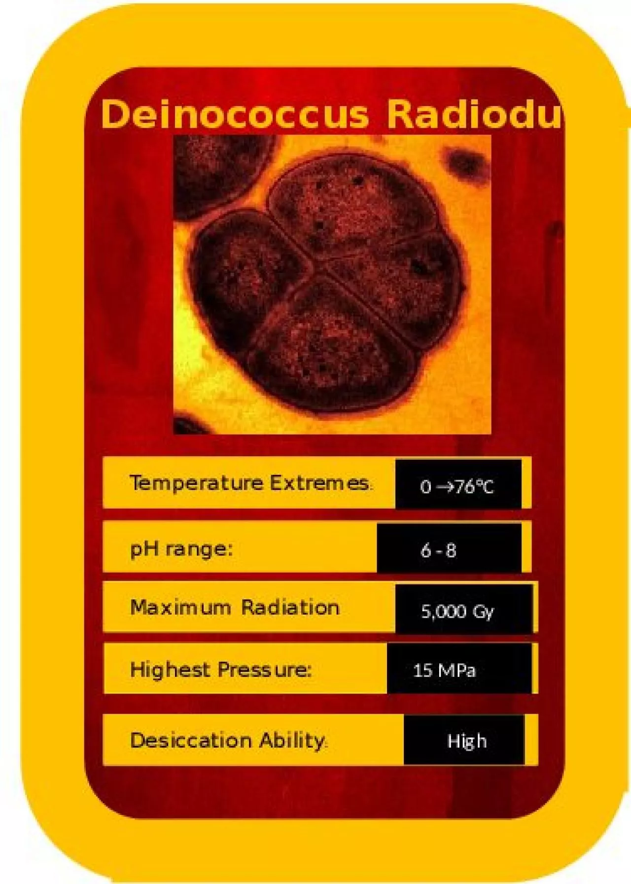 PPT-Deinococcus Radiodurans Temperature Extremes