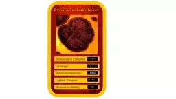 Deinococcus Radiodurans Temperature Extremes