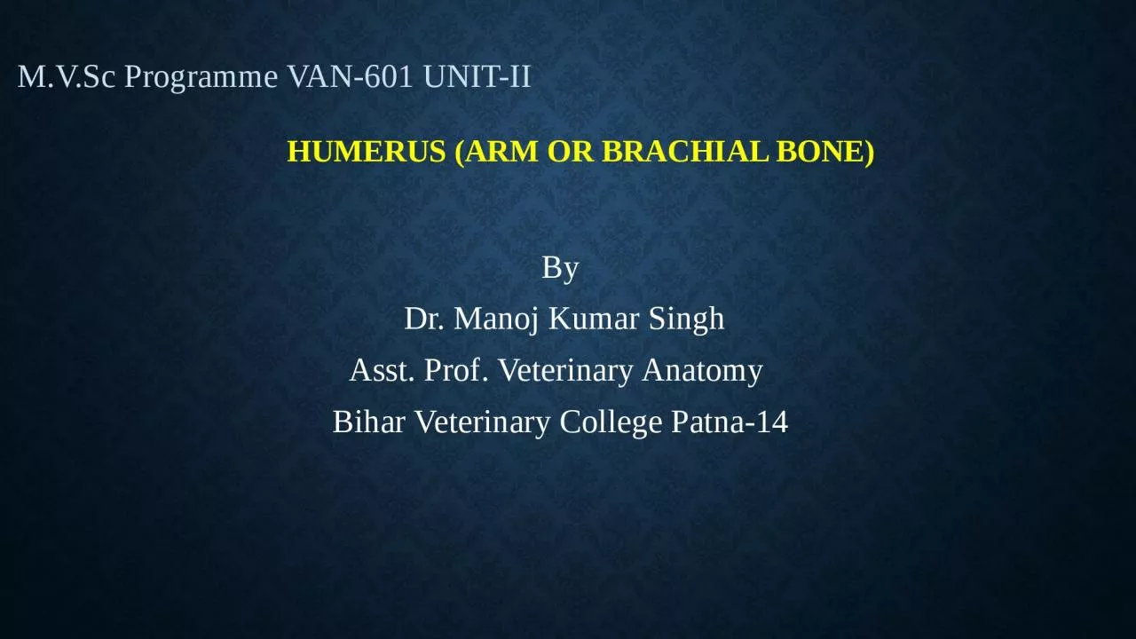 Humerus  (ARM or Brachial bone)