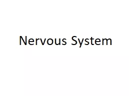 Nervous System Organization of nervous system