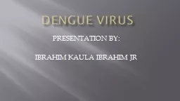 DENGUE VIRUS PRESENTATION BY: