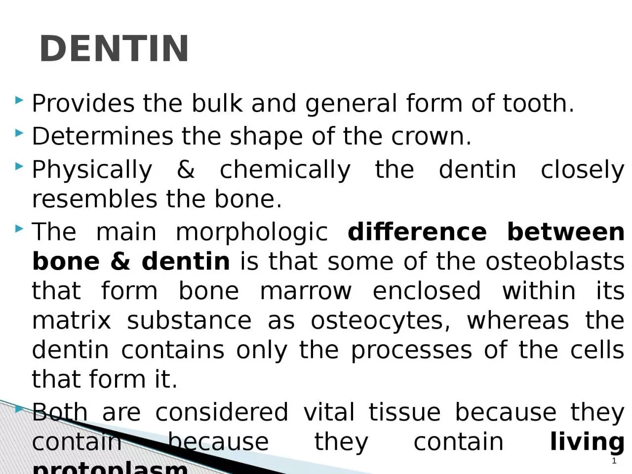 PPT-Provides the bulk and general form of tooth.