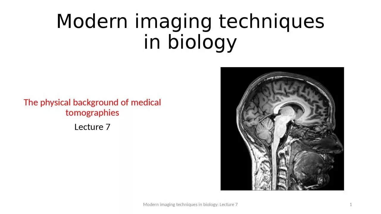 Modern imaging techniques in biology