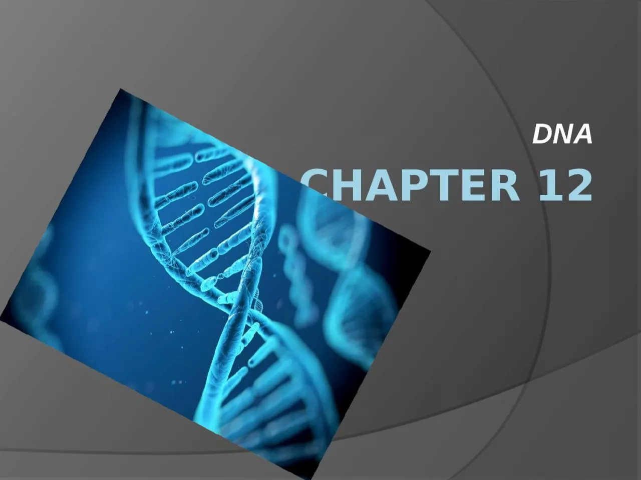 Chapter 12 DNA Characteristics