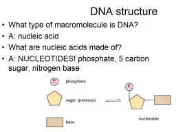 Chapter 12 DNA Characteristics