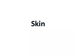Skin The skin is the first heaviest organ in the