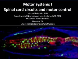 Motor systems I Spinal cord circuits and motor control