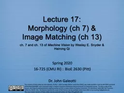 Lecture 17: Morphology (