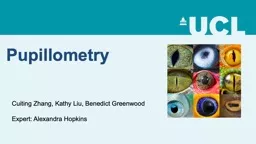 Pupillometry Cuiting  Zhang, Kathy Liu, Benedict Greenwood