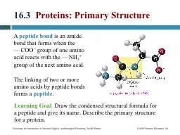 16.3   Proteins: Primary Structure