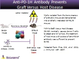 Anti-PD-1H Antibody Prevents