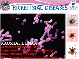 RICKETTSIAL DISEASES KAUSHAL KUMAR